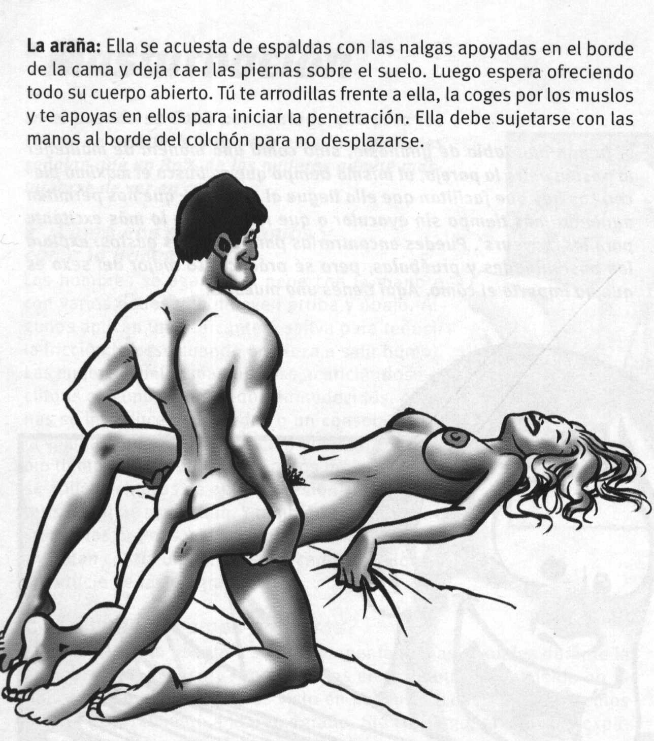 postura2.jpg (247717 bytes)