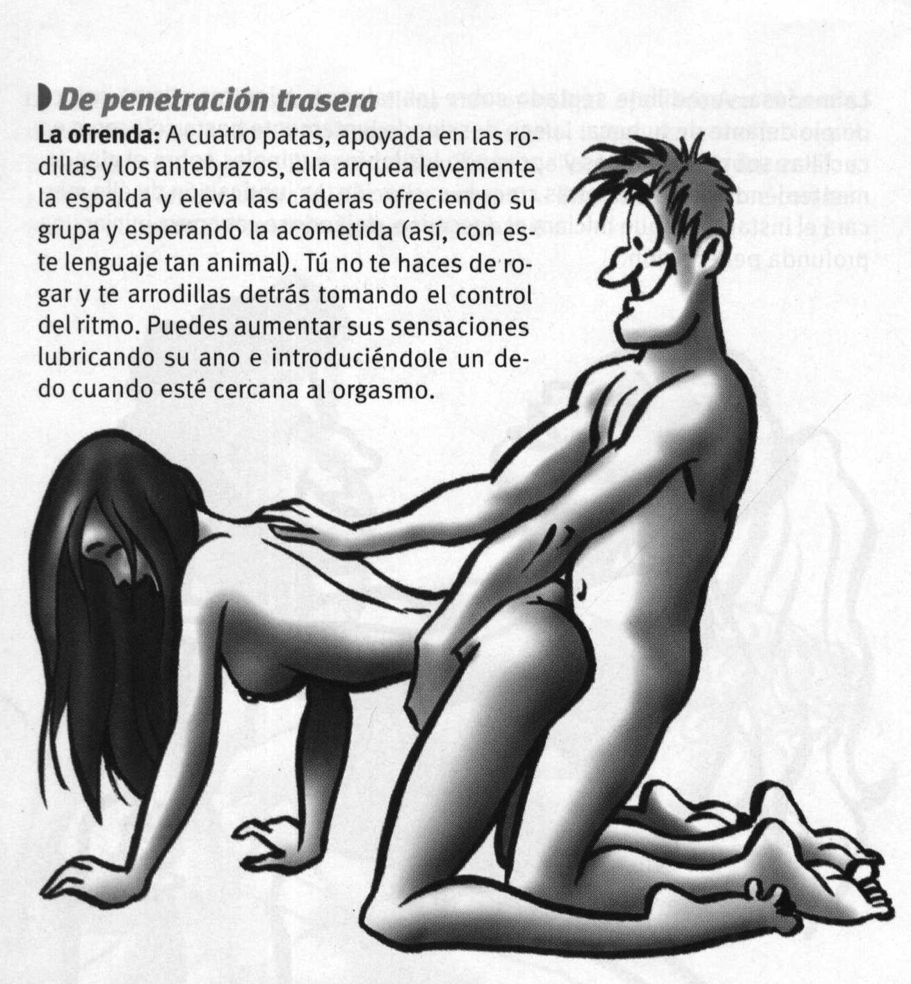 postura6.jpg (330526 bytes)