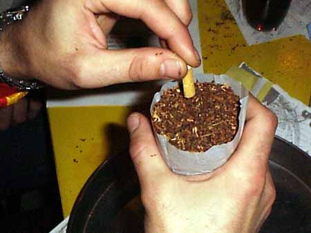 smoke3.jpg (23441 bytes)